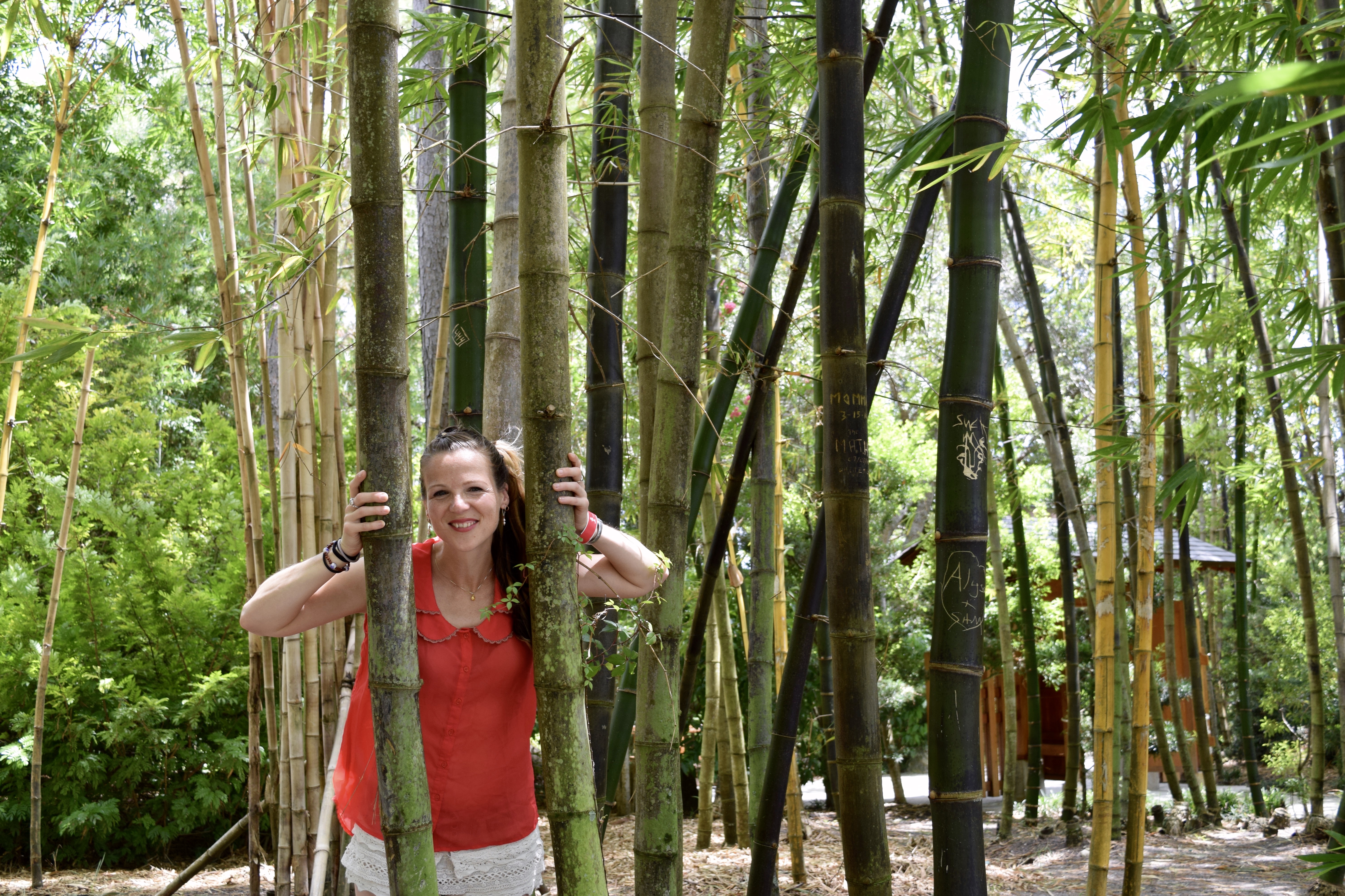 Jenn in the bamboo