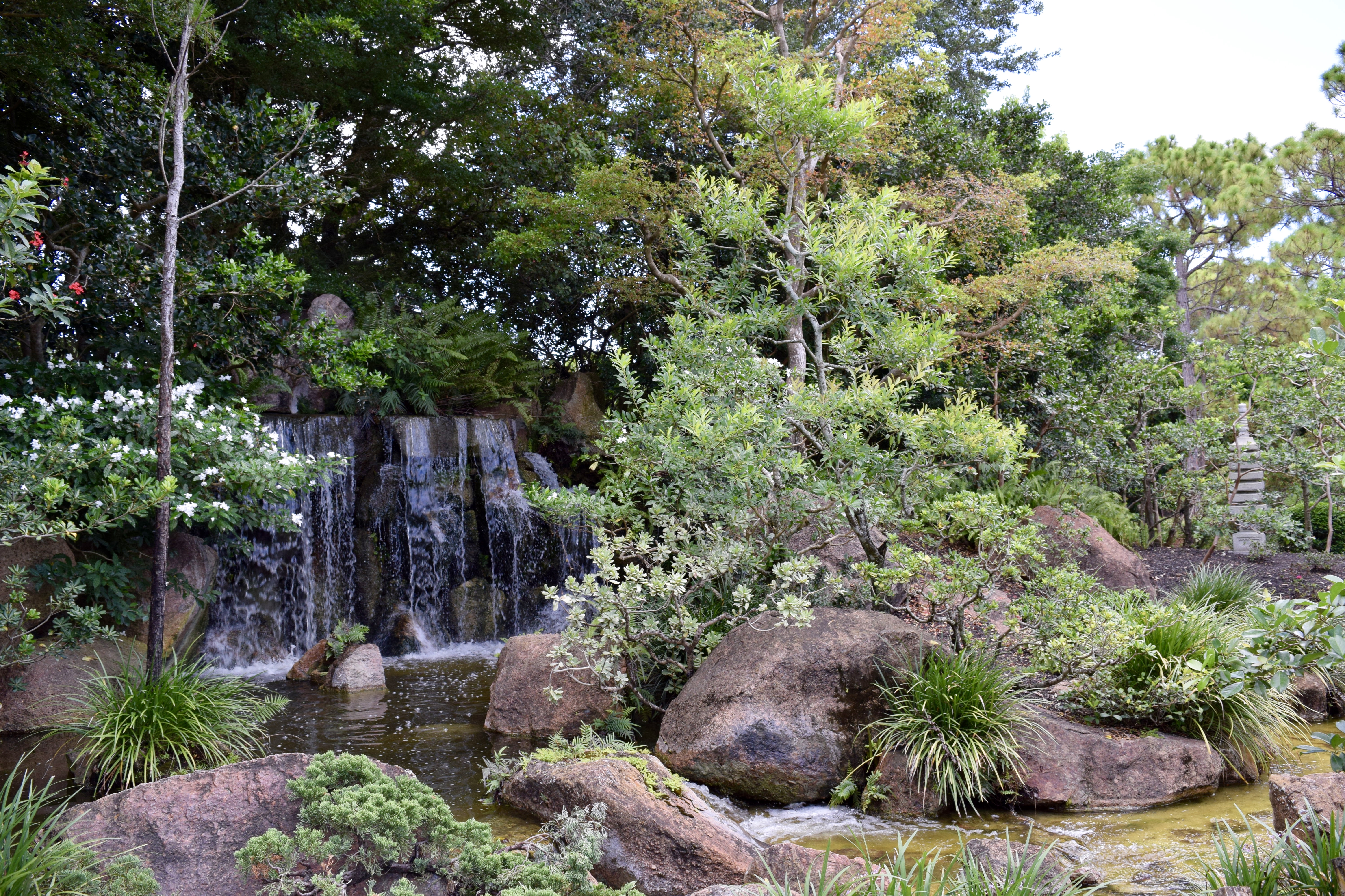Morikami gardens 